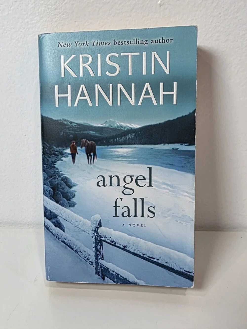 Angel Falls - Paperback